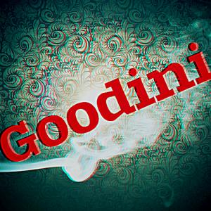 Goodini