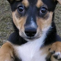 Ульяна Ким