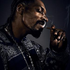 Maestro