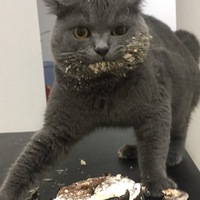 Августин Дрозд