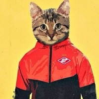 Александр Кутишевский