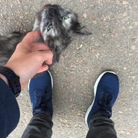 Влад Мирный
