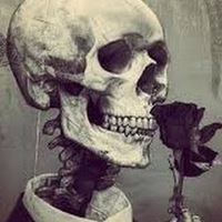 Никита Никитенков