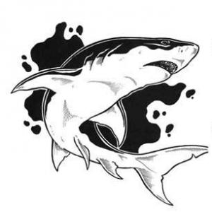 Shark