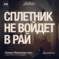 Яда Тынет