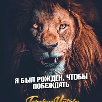 Данис Шарафутдинов