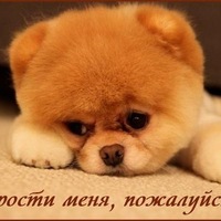 Захар Херькин
