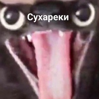 Андрей Голонов