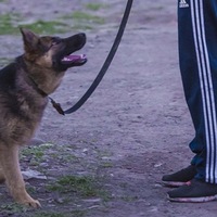 Марсель Гатиятуллин