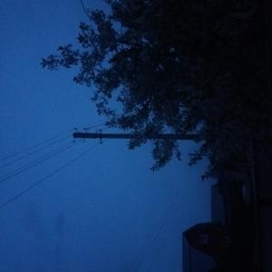 Никита Логинов