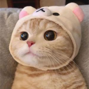 Милана Гоготова