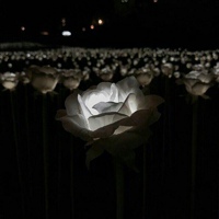 Секрет Секретович
