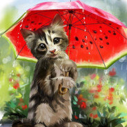 cat under an umbrella