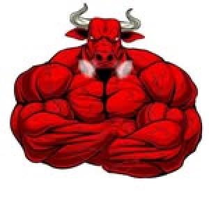 The_Bull