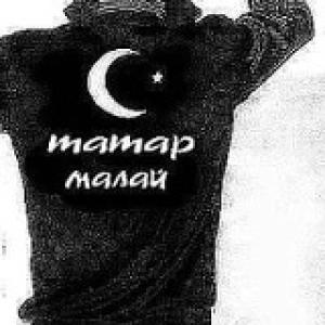 Татарин